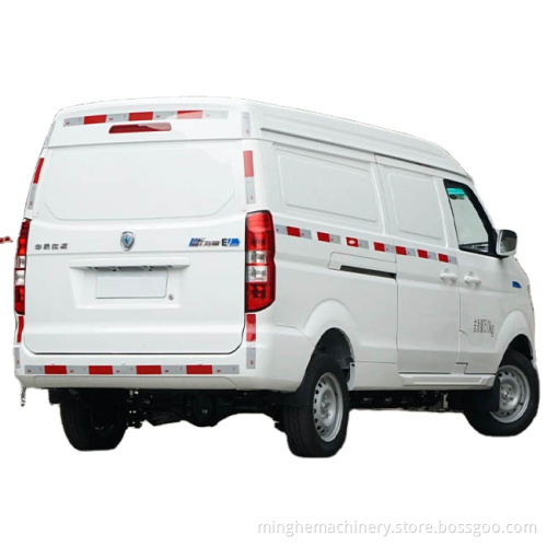 EV New Energy Truck 5Door 2Seat 300km Range Golden Cup Cup Lion Hot to Sale